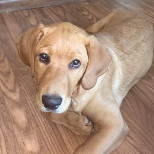 Meet your Posher, April